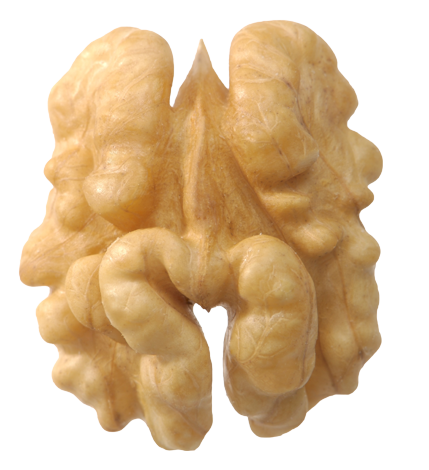 Hand Crack shell walnuts